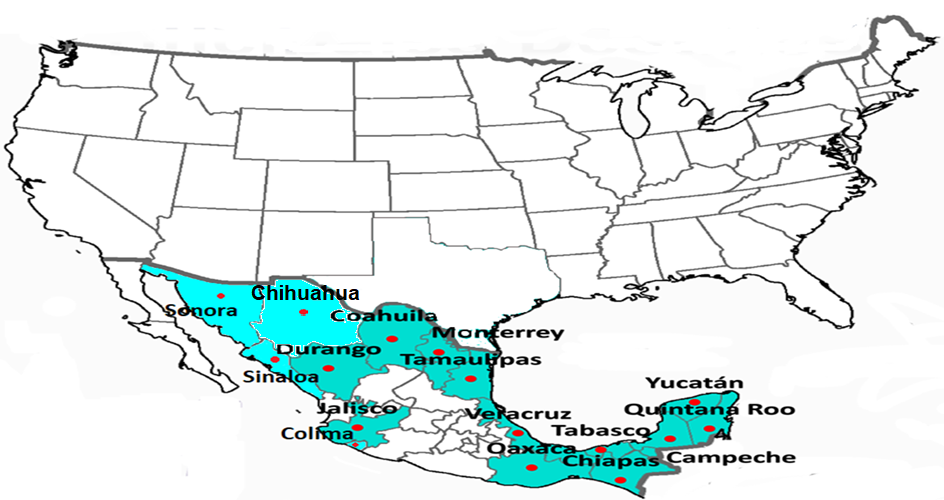mapa